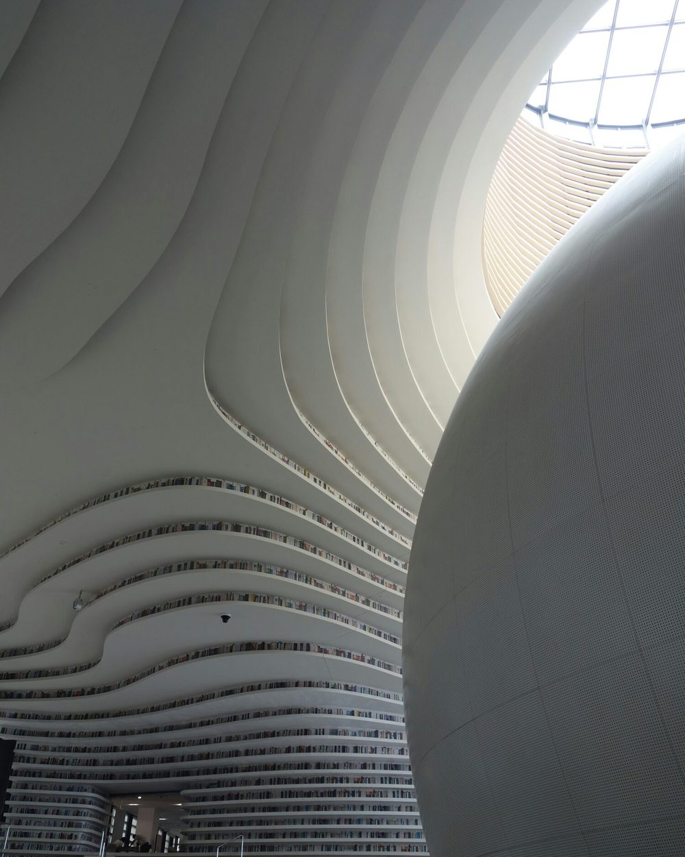 Curved white shelving in a modern library